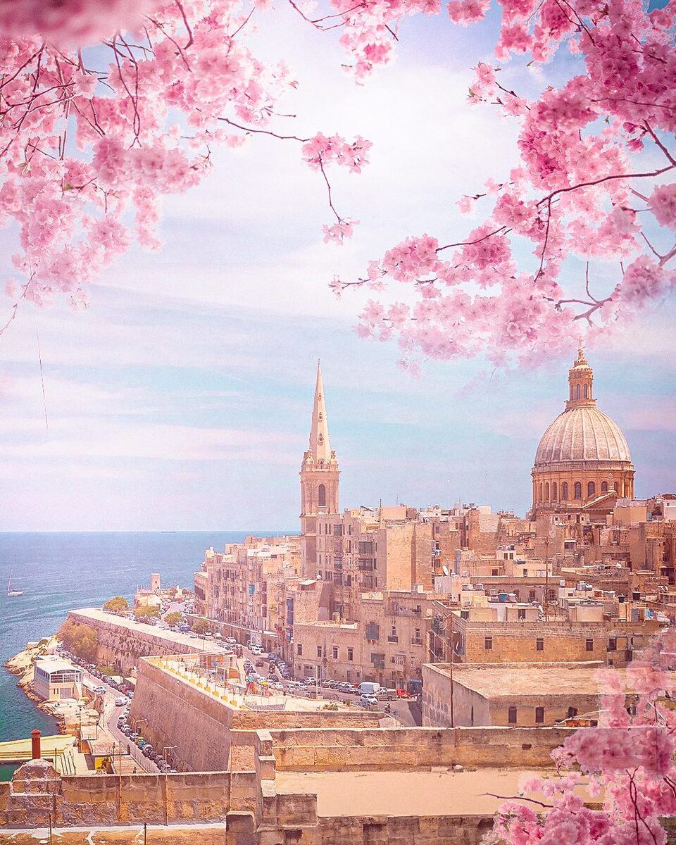 La Valeta, Malta, con flores rosas